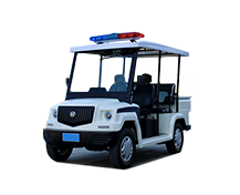 葫芦岛观光车